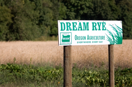 Oregon Rye