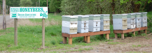 Honeybees Rogue Farms