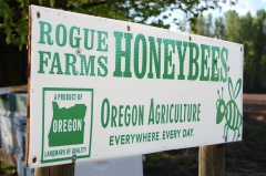 Rogue Farms Honeybees