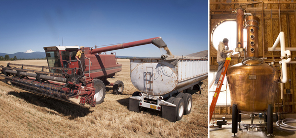 Left: John Maier harvesting the barley for Rogue Spirits at our farm in Tygh Valley, Oregon. Right: We distill our spirits in a handcrafted copper Vendome still at Rogue Spirits in Newport, Oregon.
