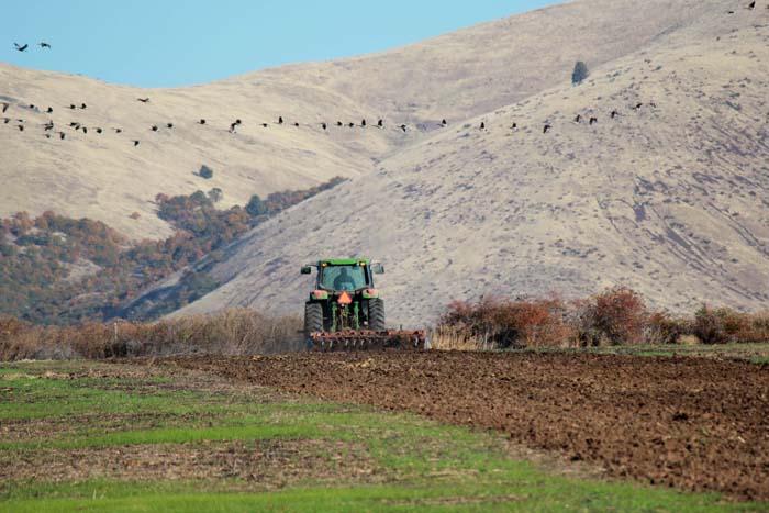 Plowing a field of spring barley begins in the fall at Rogue Farms in Tygh Valley, Oregon.