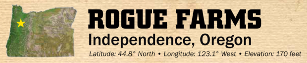independence-banner